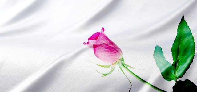 プチギフトの良い探し方とは